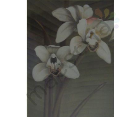 Постер &quot;Цветы. Орхидеи&quot;, размер 69х89