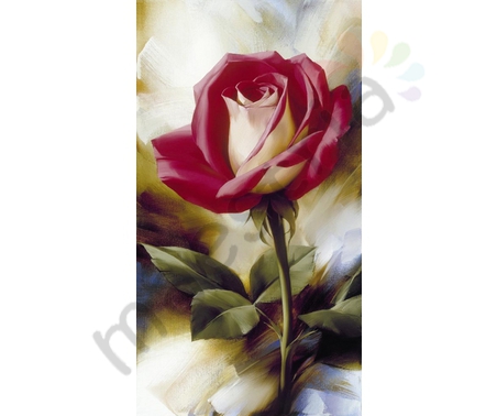 Постер &quot;Красно бежевая роза&quot;, размер 30х60