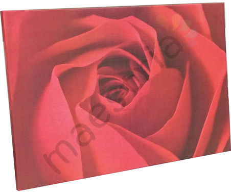 Постер на подрамнике &quot;Красная роза&quot;, размер 57х84