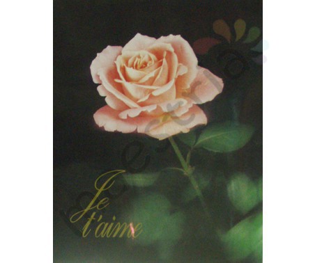 Постер &quot;Розовая роза Le t'aime&quot;, размер 40x50