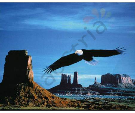 Постер &quot;Полет орла над горами&quot;, размер 40x50