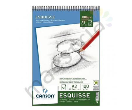 Альбом для графики Canson Esquisse 29.7*42см, 100гр.м2, 50л мелк.зерно, спираль по кор.стороне