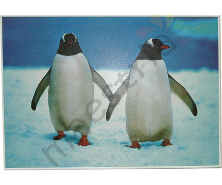 Постер в раме &quot;Пара пингвинов&quot;, размер 62х91, багет BA002/1WG бел глянц