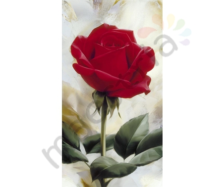 Постер &quot;Красная роза&quot;, размер 30х60