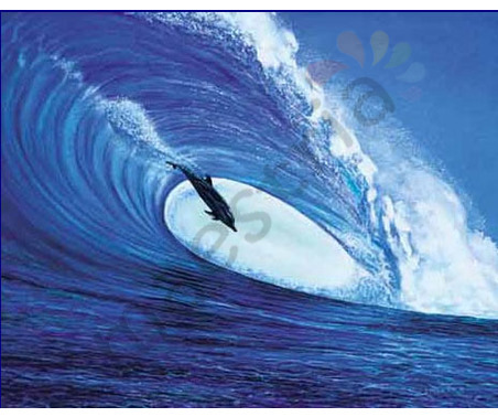 Постер &quot;Дельфин в набегающей волне&quot;, размер 40х50