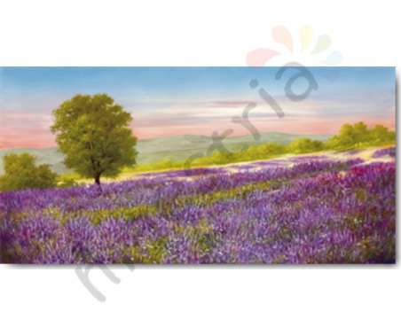 Постер &quot;Heinz Schöllnhammer. Lavender Field (Лавандовое поле)&quot;, р.50x100