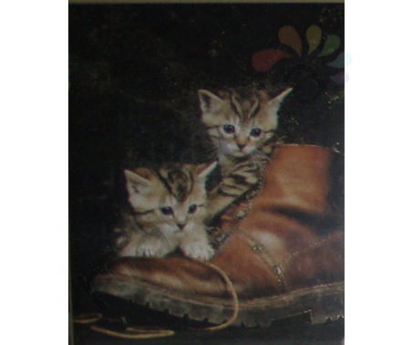 Постер &quot;Два котенка в башмаке&quot; (алюм), размер 20х25