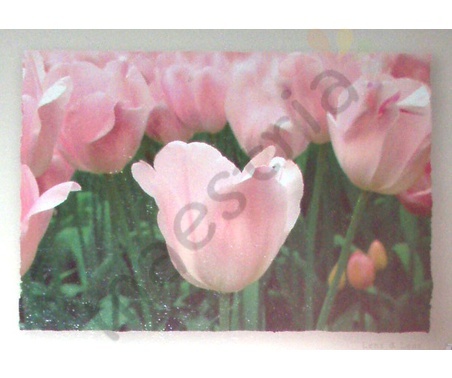Постер &quot;Розовые тюльпаны&quot;, размер 45х35