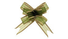 Бант-бабочка, ширина ленты 2,7 см, органза с серебряными капельками на золотой полосе, зелёный