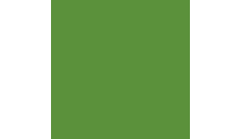 лист 50х65, цвет зеленый сок