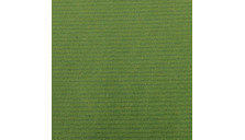 Бумага крафт зеленая, плотность 65гр/м2, рулон 0,68*3м, Canson