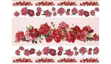 полосы из красных роз