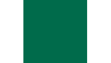 цвет зеленый еловый