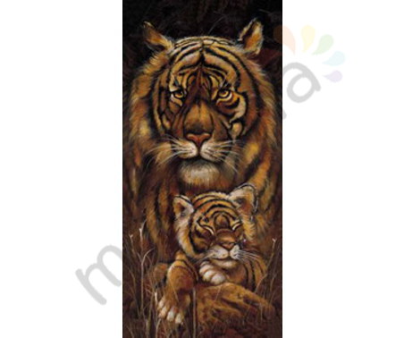 Постер &quot;Животные. Тигрица и тигренок&quot;, размер 33x70