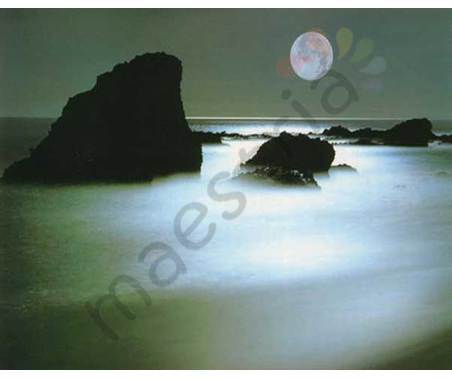 Постер &quot;Фото. Полнолуние (rocky shoreline)&quot;, размер 56х71