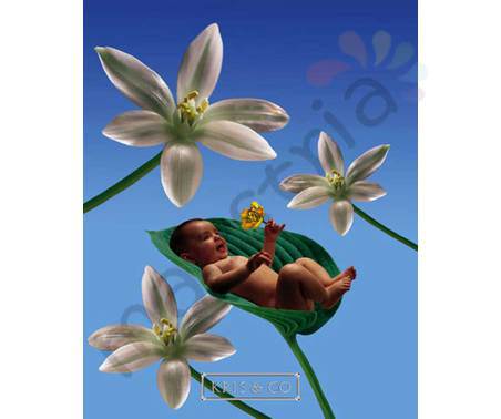 Постер &quot;Ребенок и цветы&quot;, размер 20х25