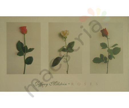 Постер &quot;Три розы&quot;, размер 41х66