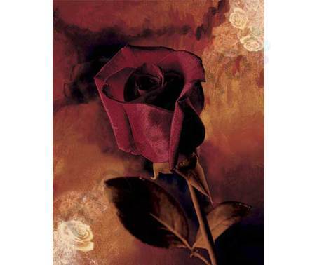 Постер &quot;Бордовая роза на оранжевом&quot;, размер 20х25