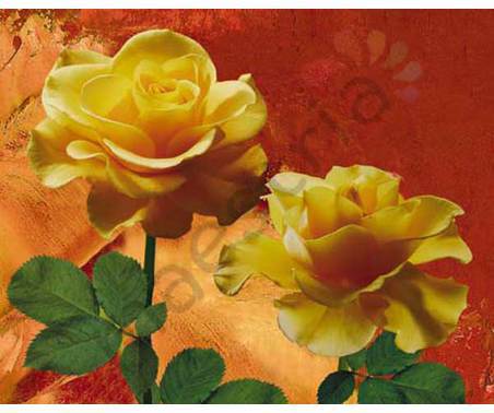 Постер &quot;Фотомонтаж. Две бежевые розы&quot;, размер 20х25
