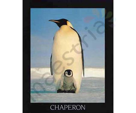 Постер &quot;Пингвин с детенышем&quot;, размер 40х50, ламинированный