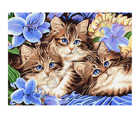 Раскраска по номерам, размер 30х40,  «Котята в цветах»