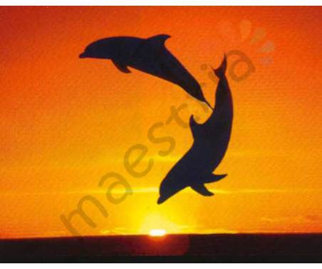 Постер &quot;Два дельфина на фоне солнца&quot;, размер 40x50, ламинированый