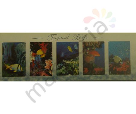 Постер &quot;Морские Животные. Тропические рифы и рыбки&quot;, размер 30x91