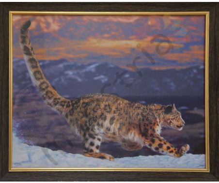 Постер в раме &quot;Леопард в прыжке&quot;, размер 40х50, багет 235 ДК 7
