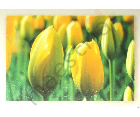 Постер &quot;Желтые тюльпаны&quot;, размер 45х35