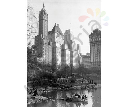 Постер &quot;NY Central Park. День (ч/б)&quot;, р.62x93