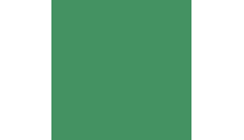 цвет зеленый мох